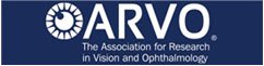 Arvo Iamge